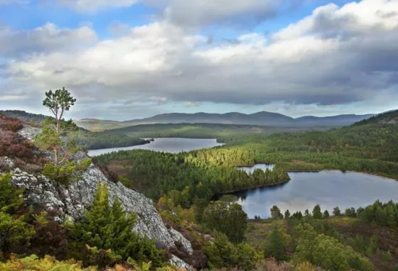 Cairngorms National Park