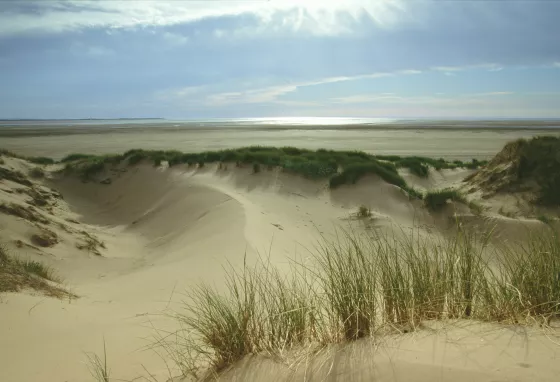 Duddon Estuary