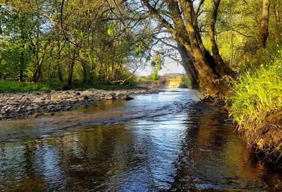 River running through Keltie Burn, Forth basin