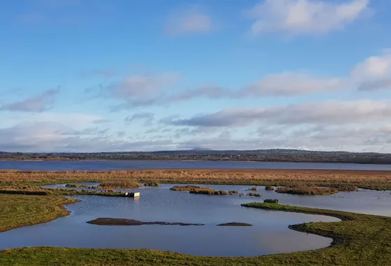 RSPB NI Portmore Lough