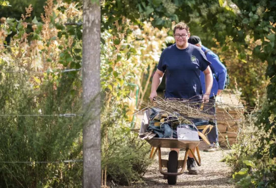 A volunteer with a wheelbarrow of debris, cleaning up the Chelsea Physic Gardens