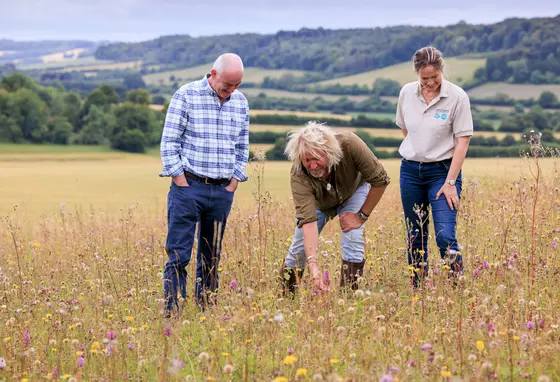 Three people standing in a field of wild flowers, one is bending down touching the flowers