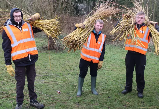 Three young men carrying willow