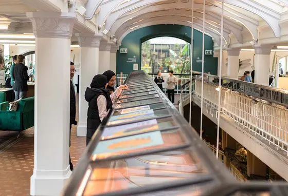 People looking at display cases in a mezzanine gallery.