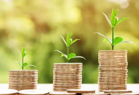 Three ascending piles of coins with a green plant shoot appearing to grown from each.