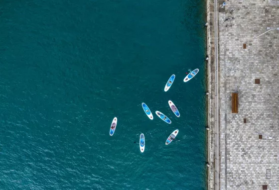 Paddleboarders in Royal William Yard, Plymouth