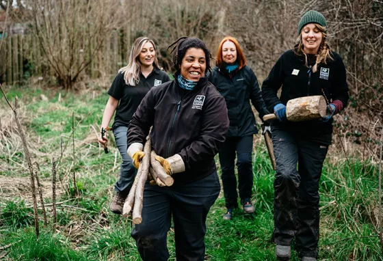 Three women carrying logs in a park