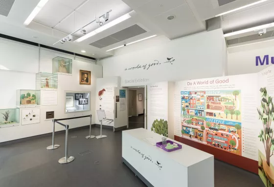 A brightly lit room with an exhibition including paper sculptures of birds and information panels