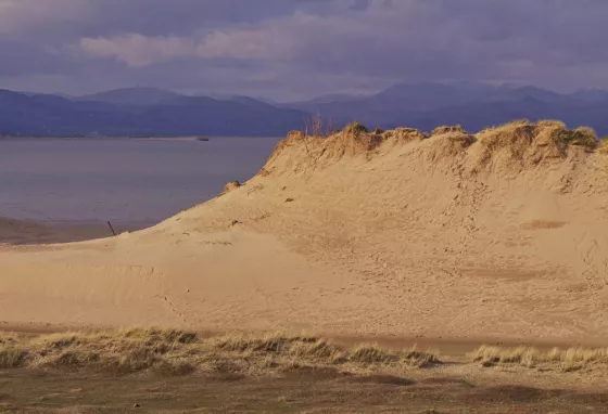 Sand dunes at Duddon Estuary, Cumbria