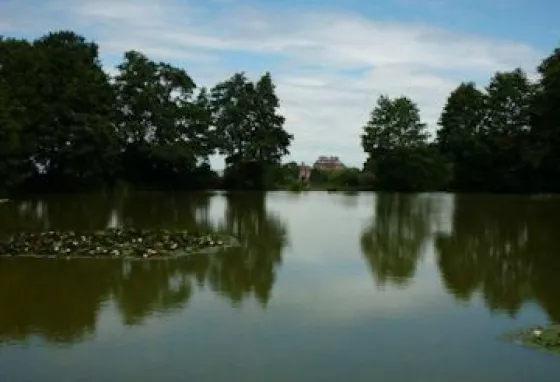 View overlooking the lake at Ampthill Great Park