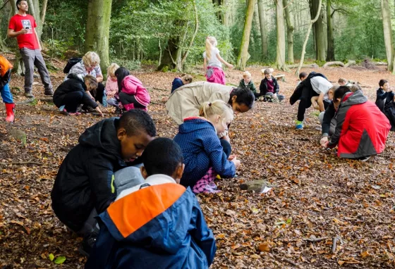 Pupils from St Thomas More Catholic Primary at Greno Woods in Sheffield