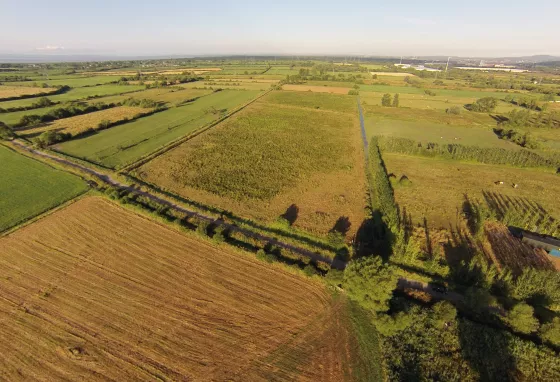 The Gwent Levels