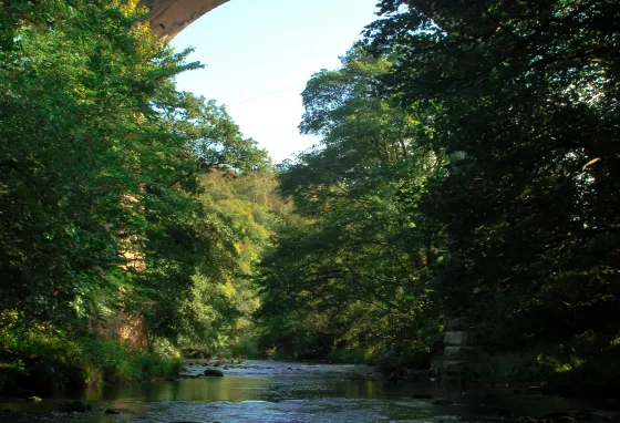 Derwent Valley's Nine Arches is one of the sites the project will focus on