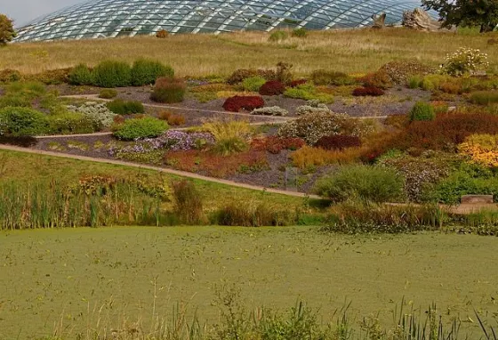 Slate beds at National Botanic Garden Wales