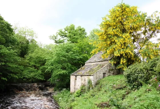 Linnels Mill on the banks of Devils Water