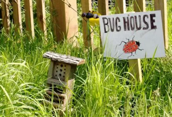 A bughouse, part of the Polli:Nation project