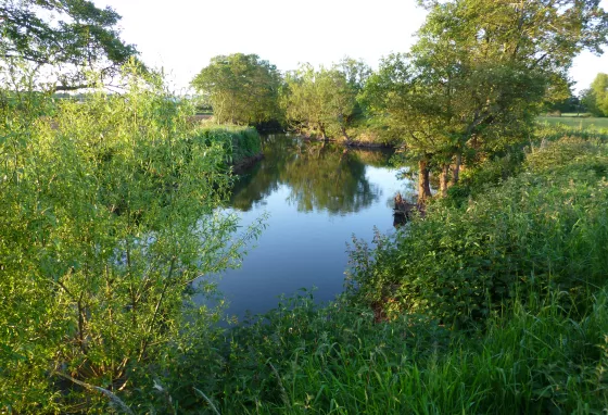 View of the River Tone