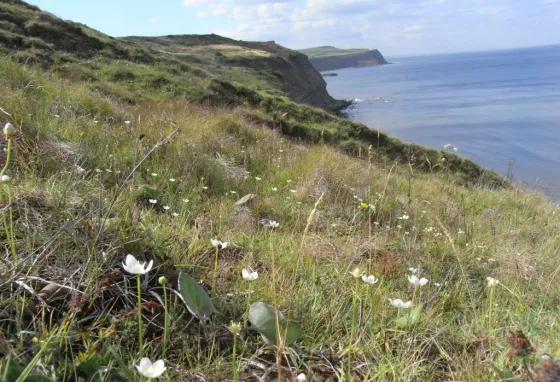 View of Cleveland coast