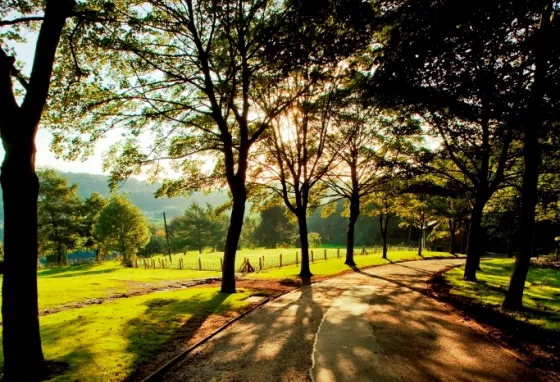 Shibden Park, Halifax