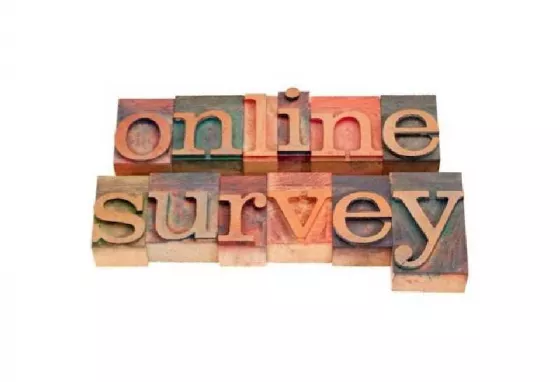 Online survey building blocks