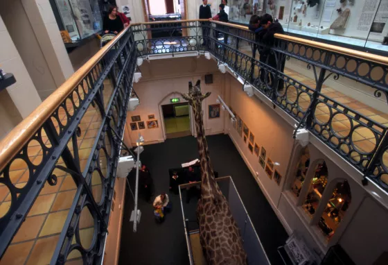 Inside view of the Royal Albert Memorial Museum, Exeter