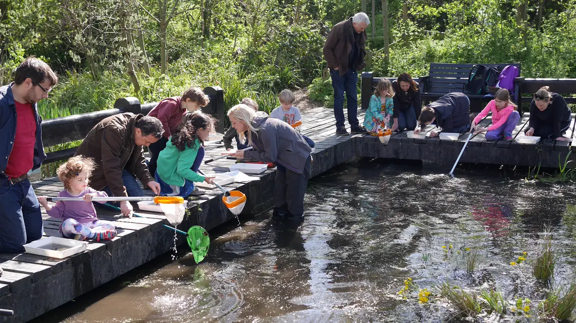 Family pond dipping at Camley Street Natural Park