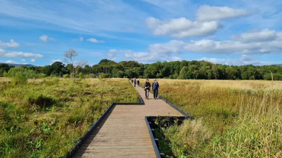 A wooden boardwalk extends out into wetlands