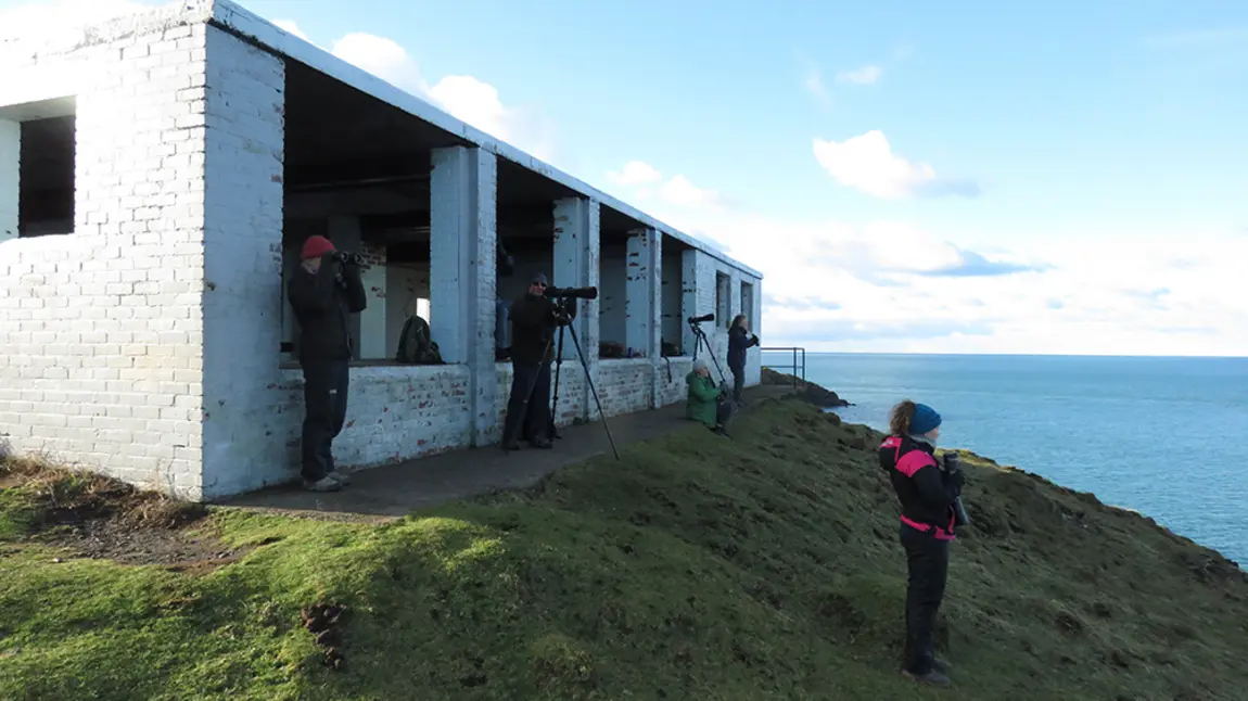 People looking out to see through lenses, from hut