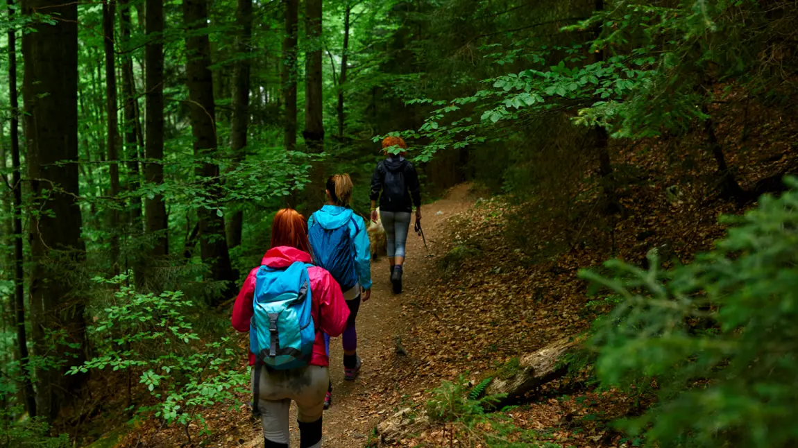 Three people walking along path surrounded by trees