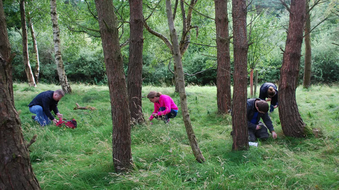 People foraging in a wood