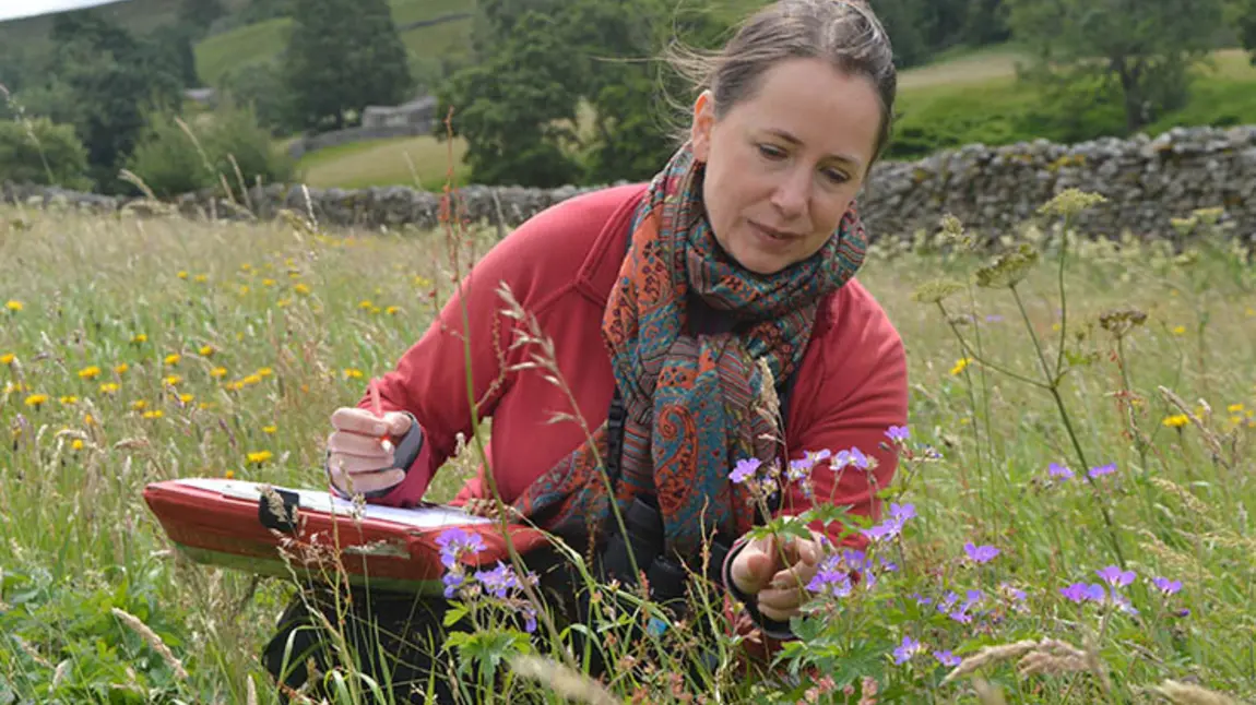 Dr Ruth Starr-Keddle carrying out a meadow survey in Upper Swaledale