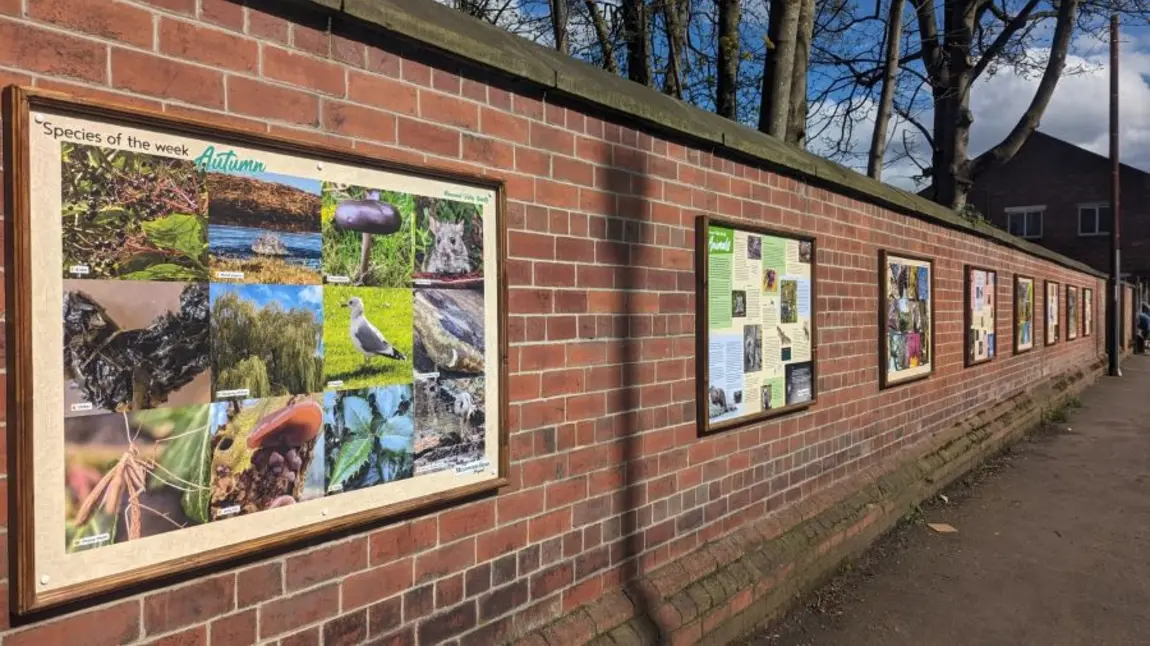 Exhibition panels along a brick wall featuring photographs and information on the Meanwood Valley's biodiversity.