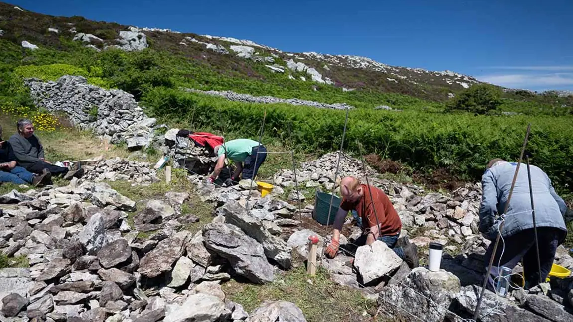People building dry stone walls on a hillside on a sunny day
