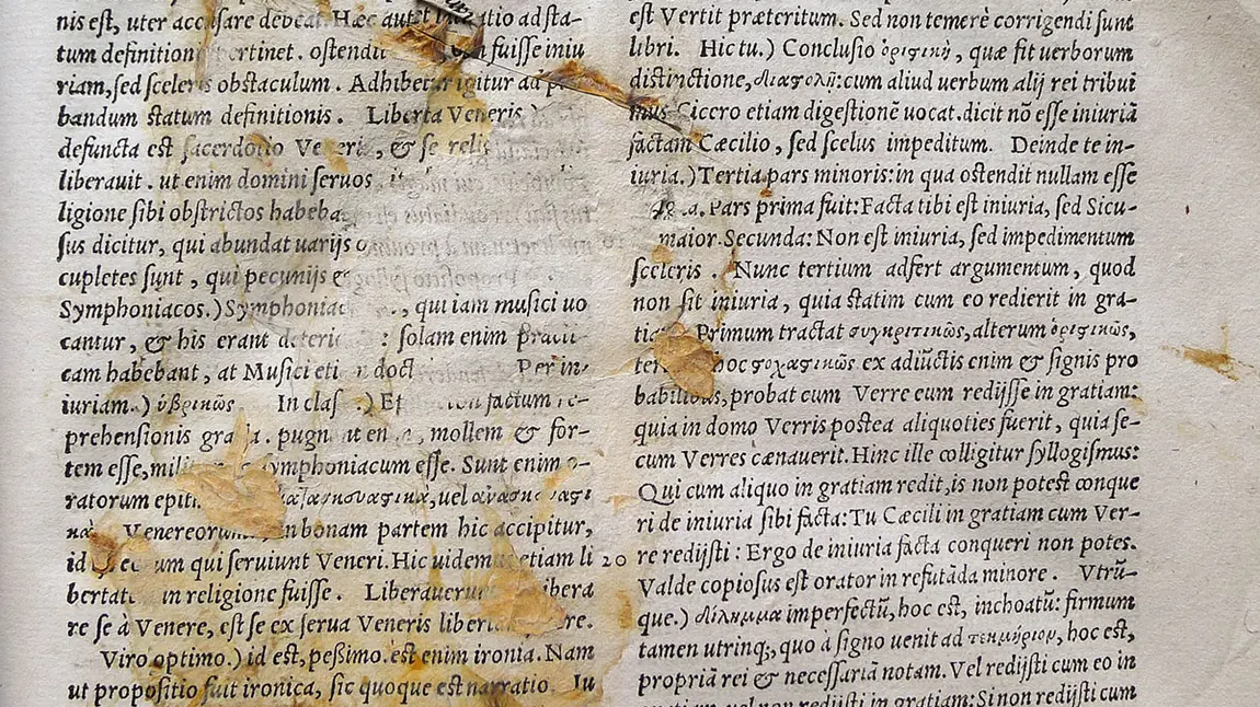 Evidence of another squashed mouse within a Salisbury Cathedral book