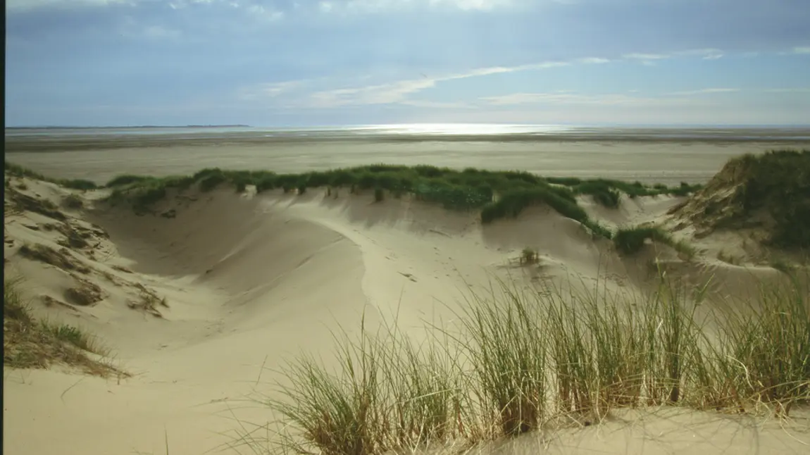 A habitat for wildlife: sand dunes on the coast of Cumbria