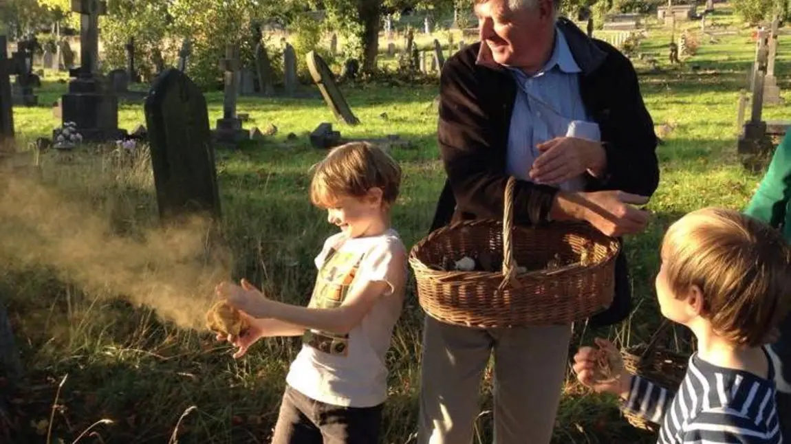 Giant puffball at a cemetery fungal foray, Caring for God's Acre