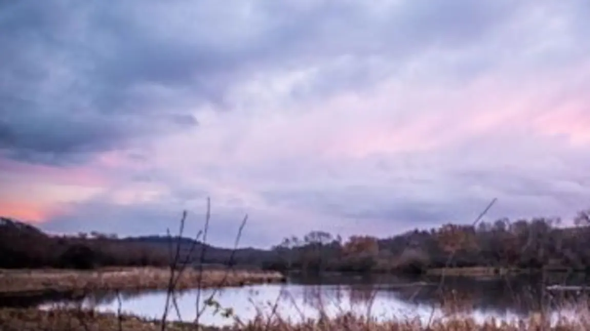 Denaby Ings Nature Reserve, Doncaster. Photo Timm Cleasby