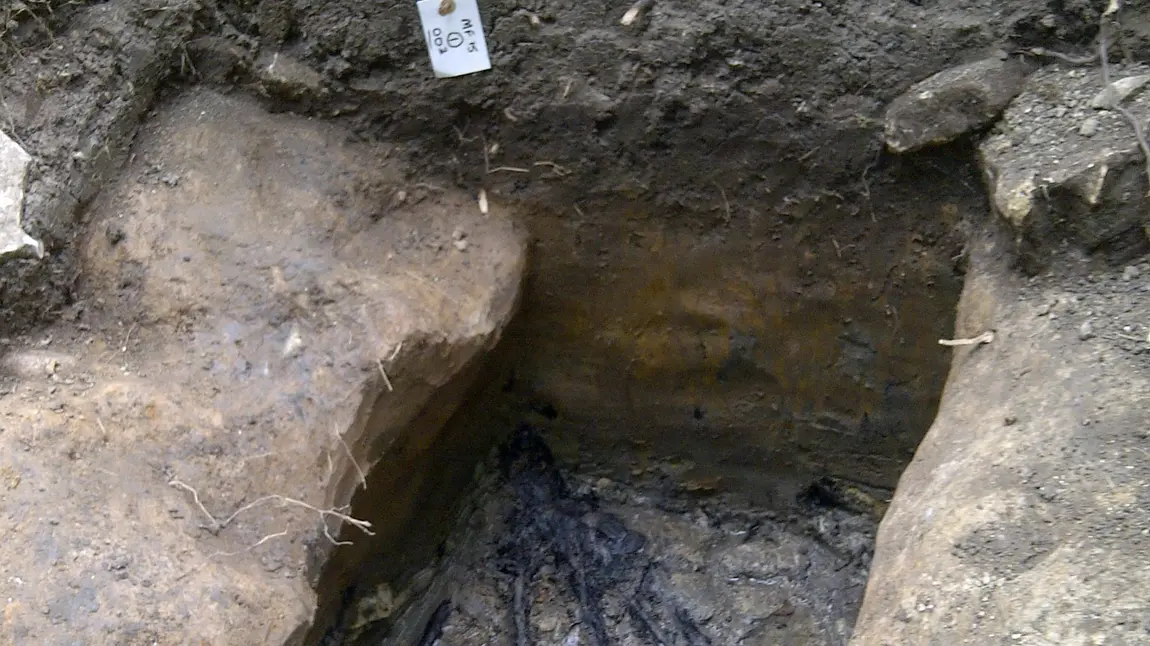 Carbonised remains of Ice Age Tree 8,000-10,000 BC discovered by volunteers at the Finding Fryston dig