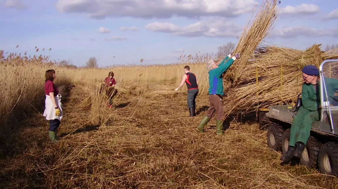 The Great Fen is one of the largest restoration projects of its type in Europe