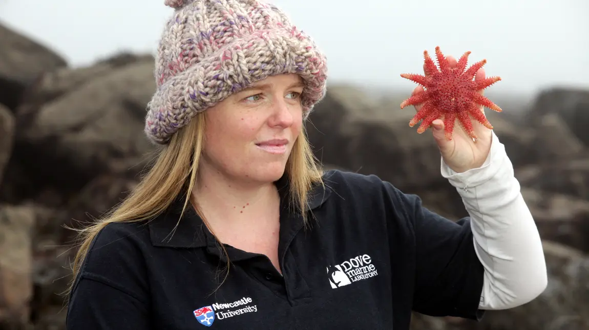 Dr Heather Sugden and Common Sunstar starfish on Cullercoats beach