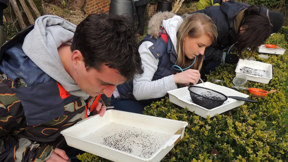 BioLinks soil mesofauna course