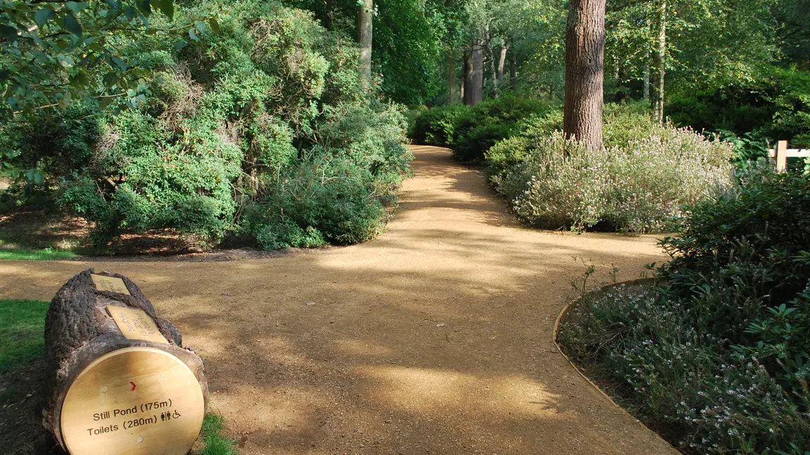 Accessible paths in Isabella Plantation, Richmond