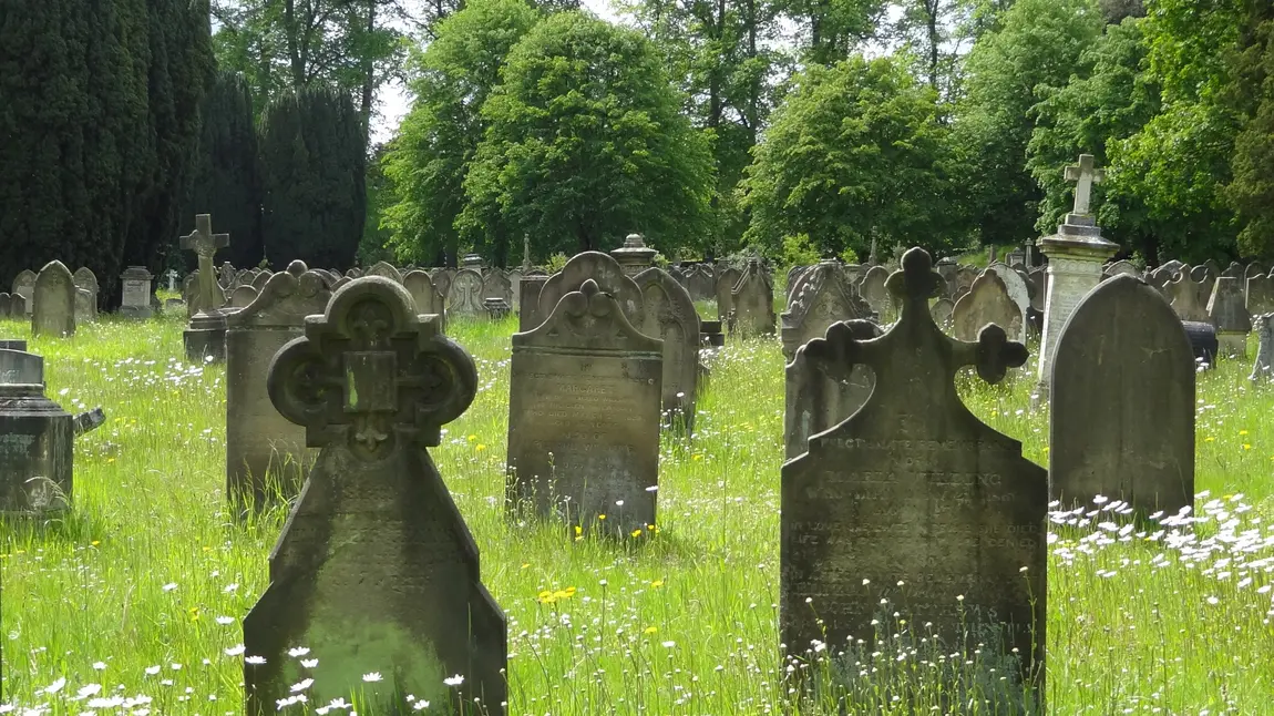 Flowery grassland at Longden Road Cemetery, Shrewsbury, Caring for God's Acre