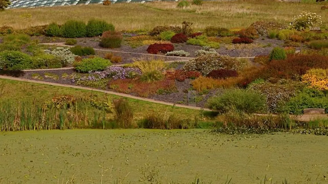 Slate beds at National Botanic Garden Wales