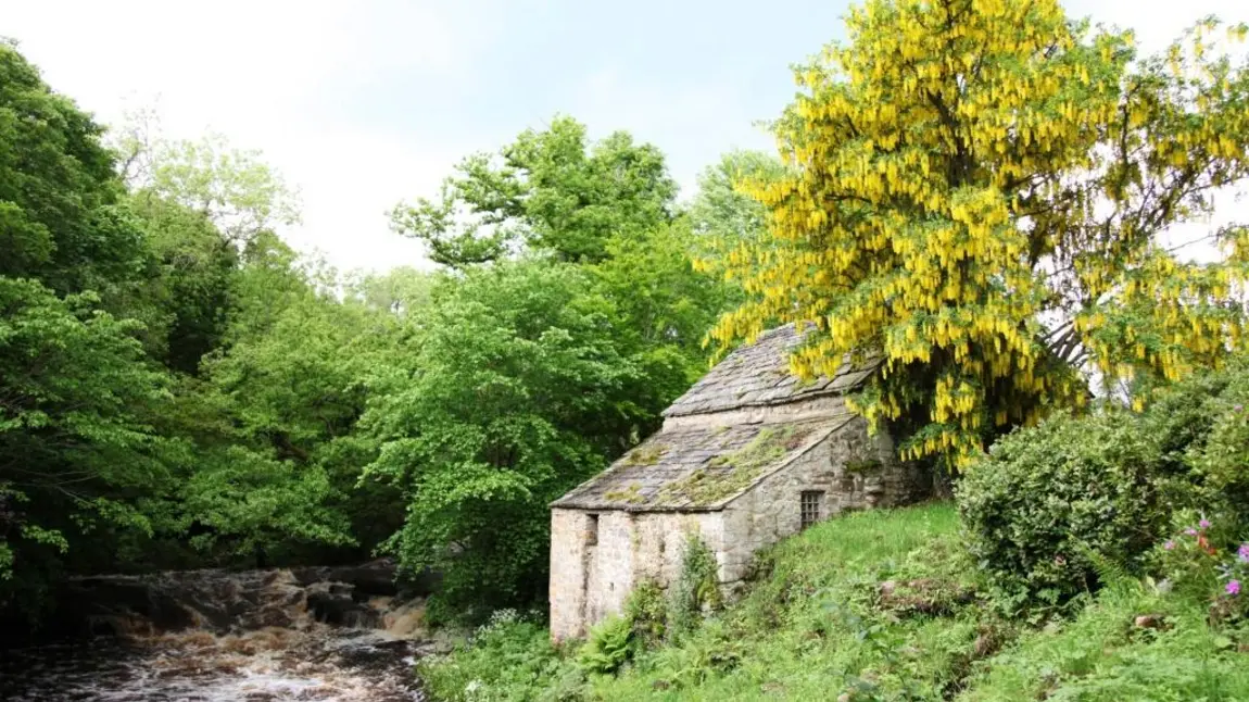 Linnels Mill on the banks of Devils Water