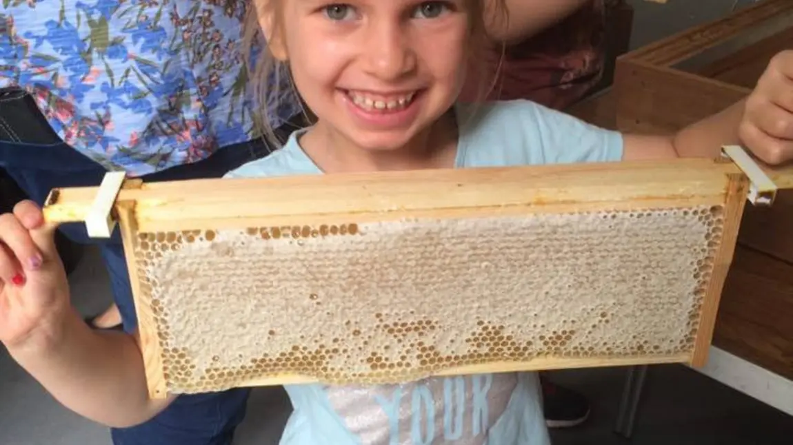 Little girl holds part of a bee hive