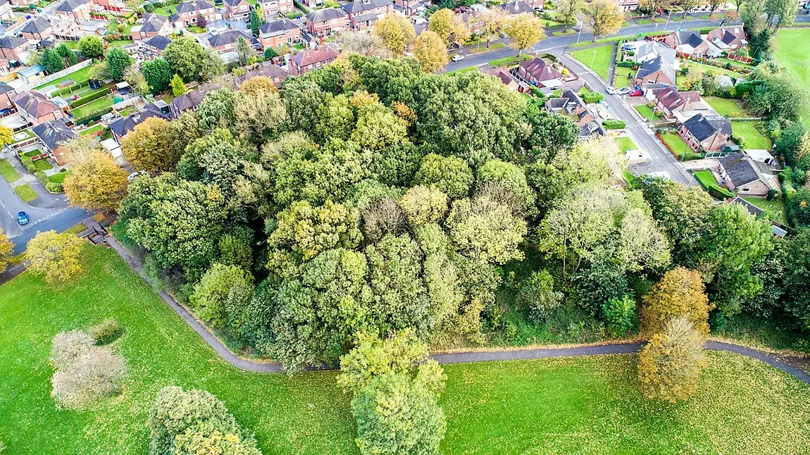 The Brundit woodlands, Wythenshawe, Manchester