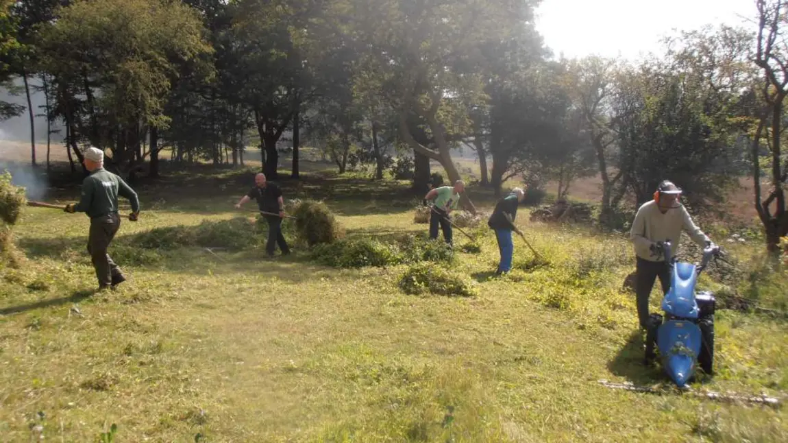 Volunteers cutting a flower-rich meadow at Ranscombe Farm Reserve