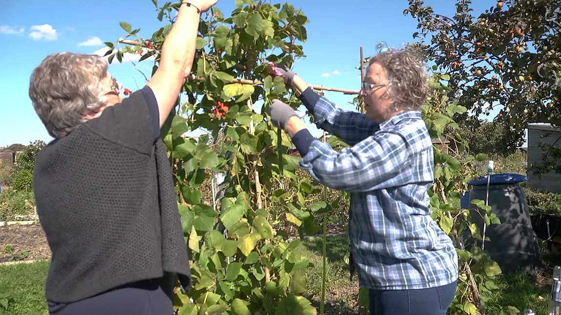 Angela and Triss on Create and Flourish's allotment