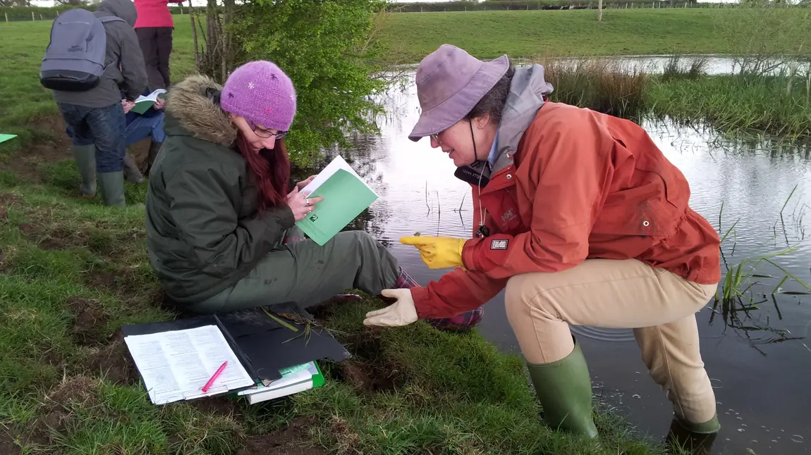 PondNet volunteers at a pond plant survey training